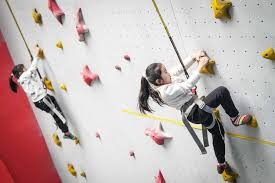 解析西雅图水手队如何通过培养本土年轻王牌建立可持续的季后赛竞争